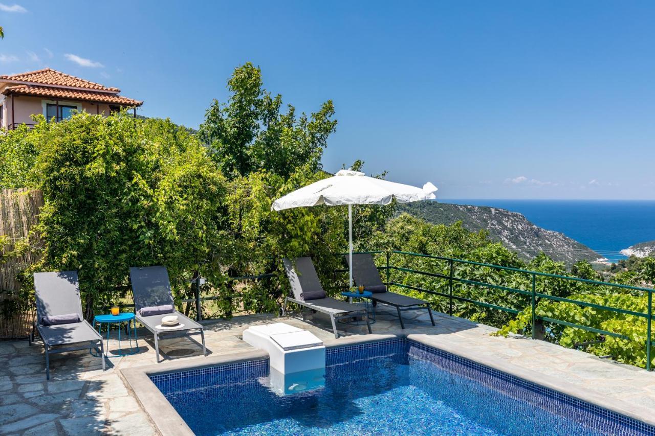 Villa Margini, Aegean Views , Pool Villa, Skopelos Eksteriør billede